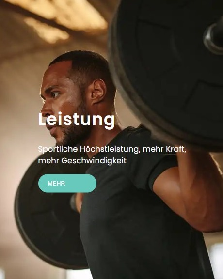 Leistung